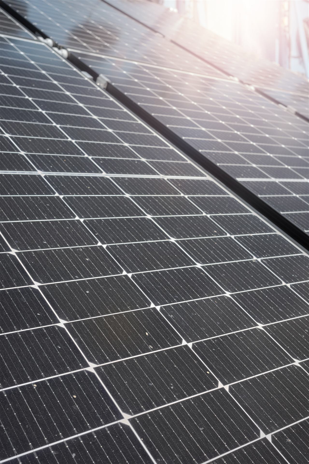 Große Photovoltaik-Anlage in der Sonne